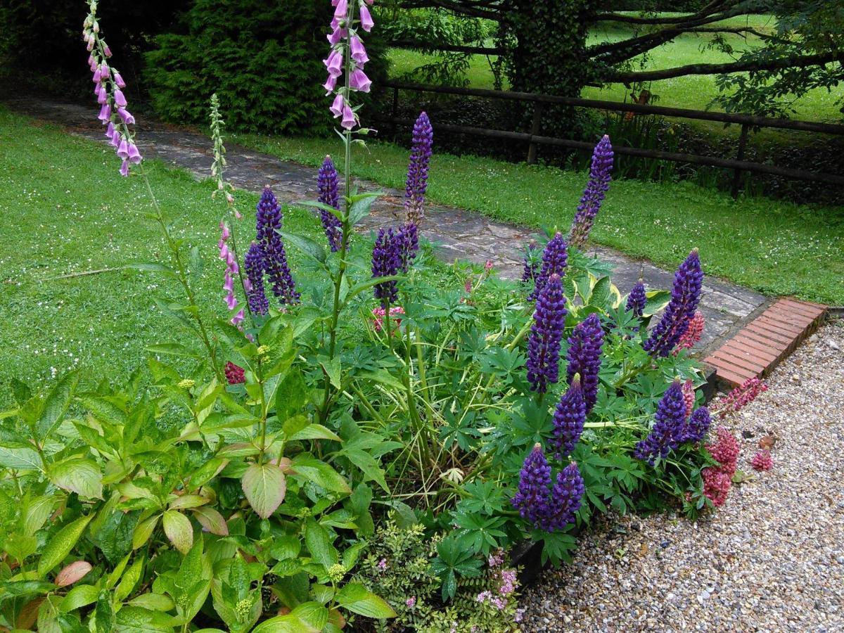 Felbrigg Aylmerton